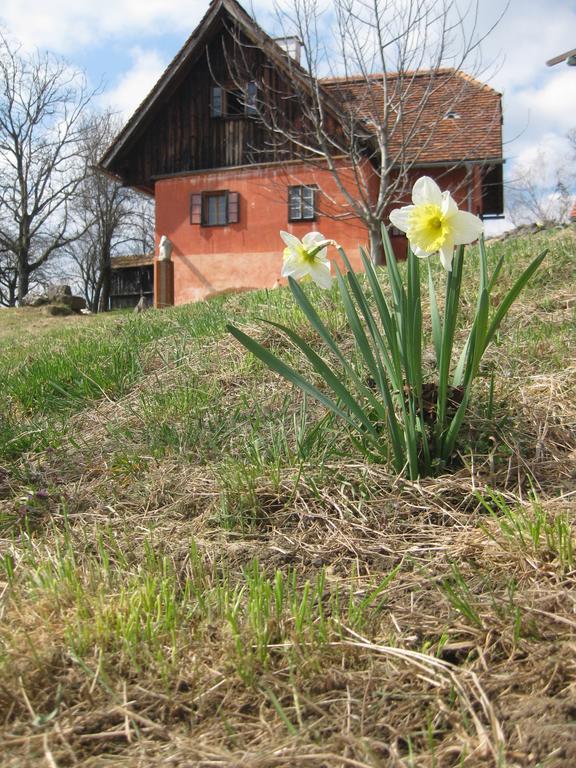 Ferienwohnungen Sonnenberg Ratsch an der Weinstraße Exteriör bild
